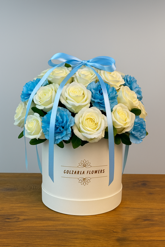 Turquoise Box