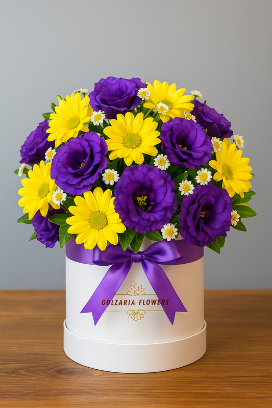 Yellow Purple Box