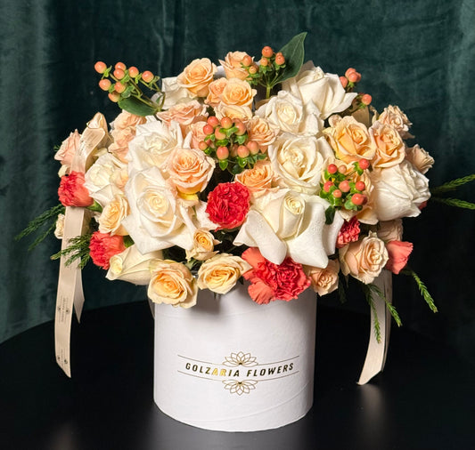 Peach & Cream Serenade